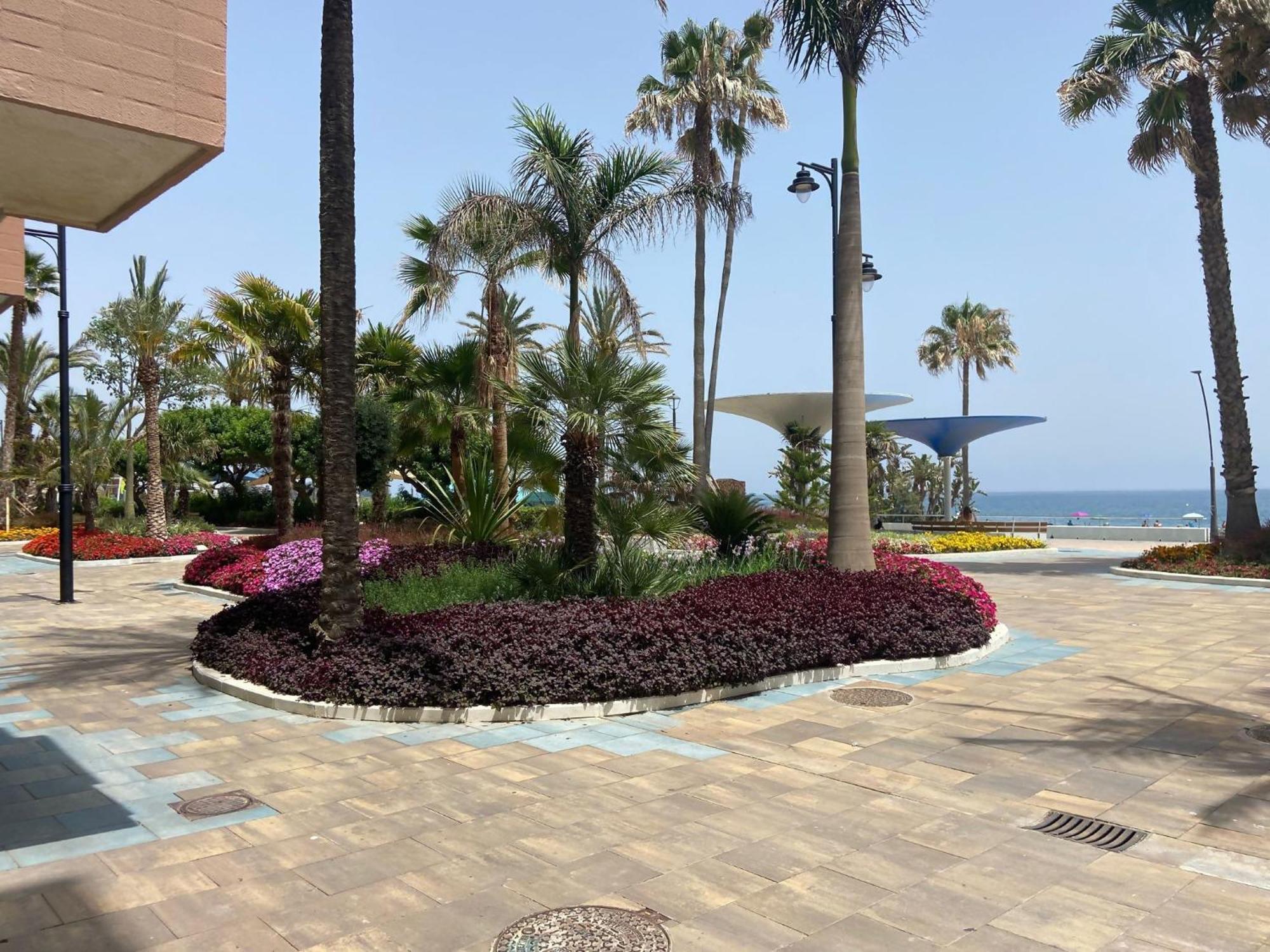 Victoria Home & Parking Estepona Ngoại thất bức ảnh